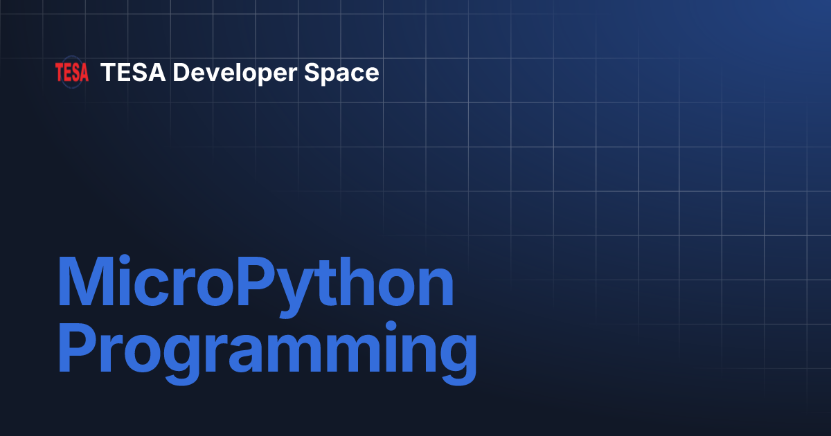MicroPython Programming | TESA Developer Space