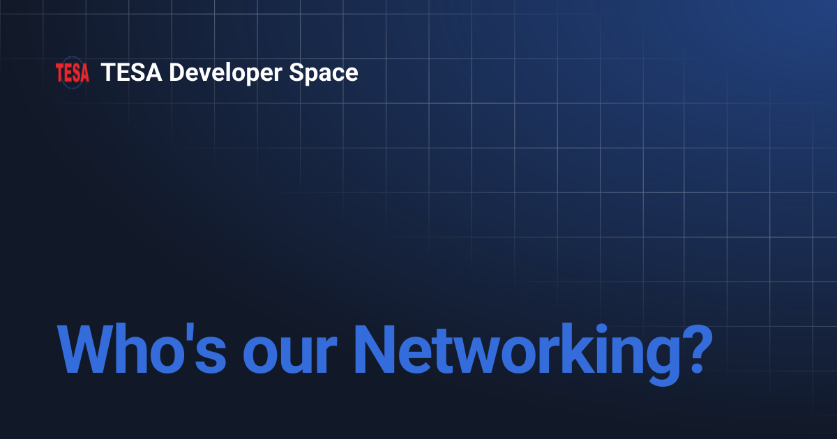 Who's our Networking? | TESA Developer Space